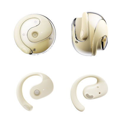 Language Translator Earbuds